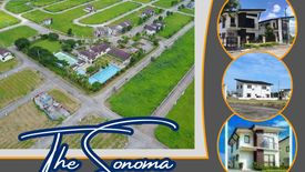 Land for sale in Don Jose, Laguna