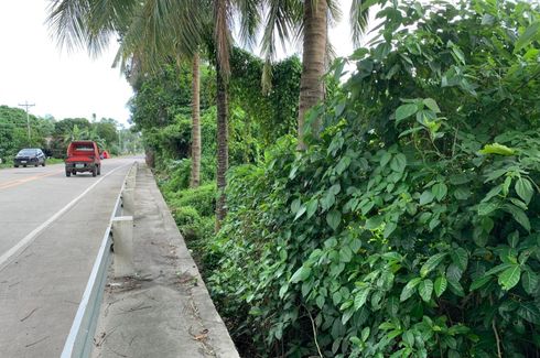 Commercial for sale in Calangag, Negros Oriental
