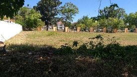 Land for sale in Mampalasan, Laguna