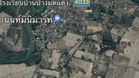 ขายที่ดิน ใน อ่างทอง, เชียงคำ