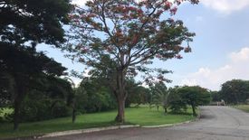 Land for sale in Fatima, Laguna