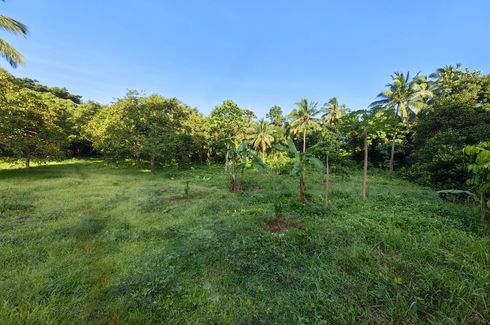 Land for sale in Taywanak Ilaya, Cavite