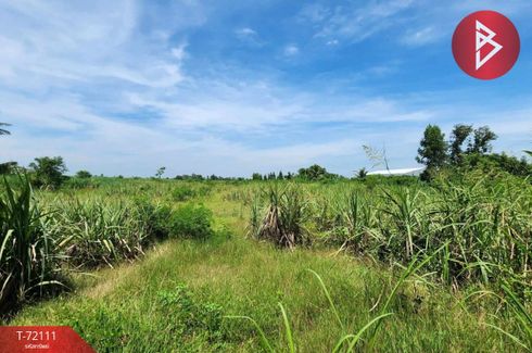Land for sale in Khao Din, Suphan Buri