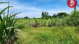 Land for sale in Khao Din, Suphan Buri