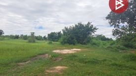 Land for sale in Nong Bua, Chainat