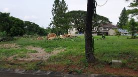 Land for sale in Don Jose, Laguna