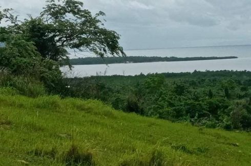 Land for sale in Balatasan, Oriental Mindoro