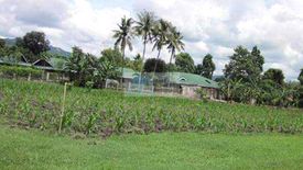 Land for sale in Talamban, Cebu