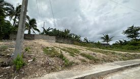 Land for sale in Cadulawan, Cebu