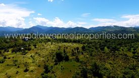 Land for sale in San Pedro, Palawan