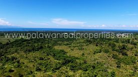 Land for sale in San Pedro, Palawan