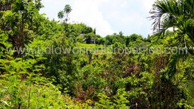 Land for sale in Santa Lourdes, Palawan