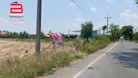 Land for sale in Nam Daeng, Chachoengsao