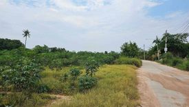 Land for sale in Nong Prue, Chonburi