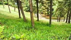 Land for sale in Iruhin South, Cavite