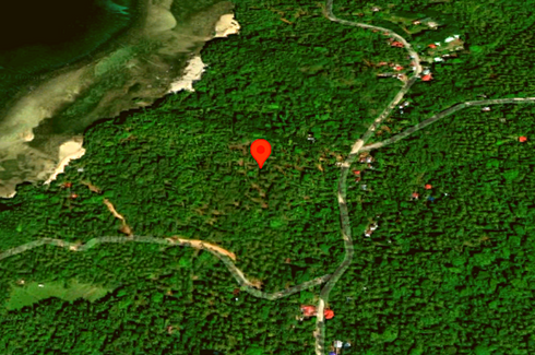 Land for sale in Manlucahoc, Negros Occidental