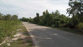 Land for sale in San Isidro, Bohol
