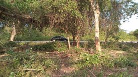 Land for sale in San Isidro, Bohol