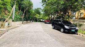 Land for sale in Lawaan III, Cebu