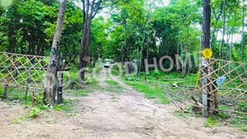 Land for sale in Mai Ngam, Tak