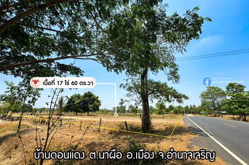 Land for sale in Na Phue, Amnat Charoen