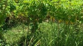 Land for sale in Bagong Pook, Batangas