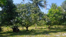 Land for sale in Balayong, Negros Oriental