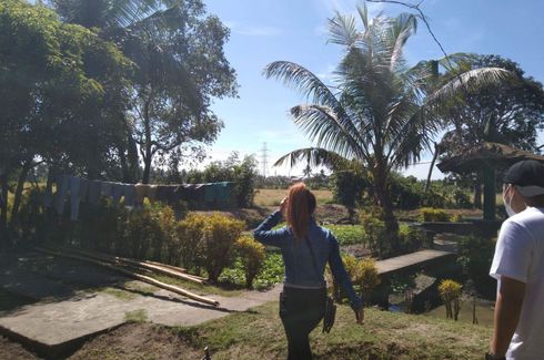 Land for sale in Mambog - Mandama, Bataan