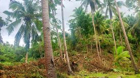 Land for sale in Tultugan, Bohol