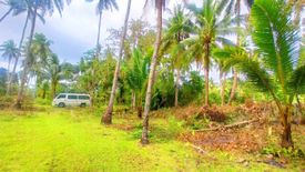 Land for sale in Tultugan, Bohol