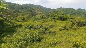 Land for sale in Agsungot, Cebu