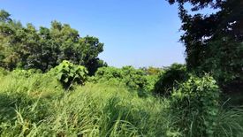 Land for sale in Mambugan, Rizal