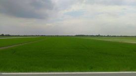 Land for sale in Nong Chok, Chachoengsao