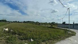 Land for sale in Calzadang Bayu, Pampanga