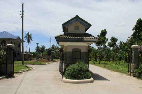 Land for sale in Bolinawan, Cebu
