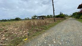 Land for sale in Lingion, Bukidnon