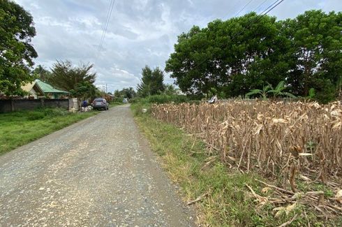 Land for sale in Lingion, Bukidnon
