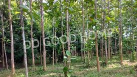 Land for sale in Charoen Mueang, Chiang Rai