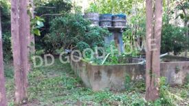 Land for sale in Charoen Mueang, Chiang Rai