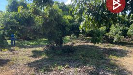 Land for sale in Makham Luang, Chiang Mai
