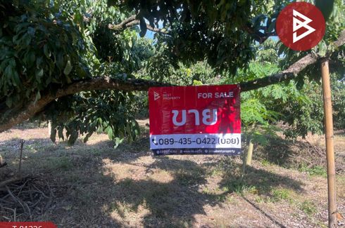 Land for sale in Makham Luang, Chiang Mai
