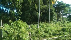 Land for sale in San Isidro, Bohol