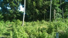 Land for sale in San Isidro, Bohol