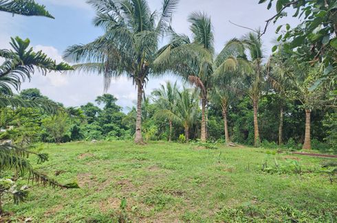 Land for sale in Buho, Cavite