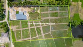 Land for sale in Rong Wua Daeng, Chiang Mai