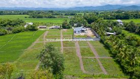 Land for sale in Rong Wua Daeng, Chiang Mai