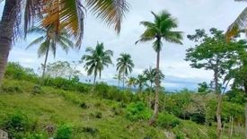 Land for sale in Cawag, Davao del Norte