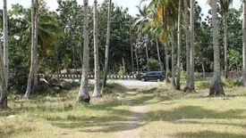 Land for sale in Cawag, Davao del Norte