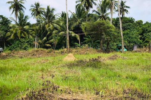 Land for sale in Caputatan Norte, Cebu