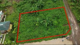 Land for sale in Tubuan II, Cavite